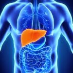 Liver Diseases (Hepatology) 